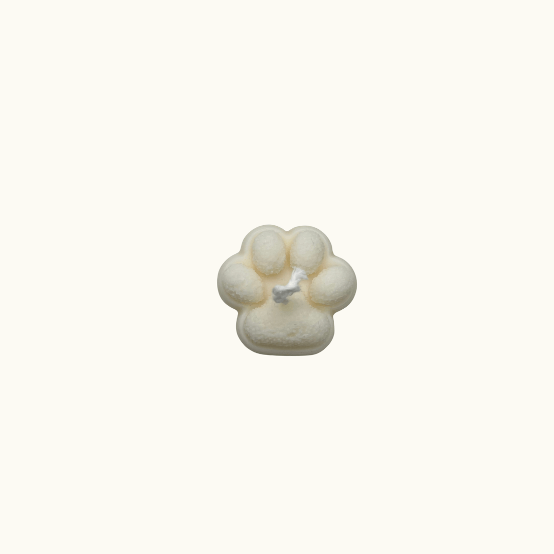 Auf diesem Bild sieht man die Cozy Claw Candle Kerze. Sie ist handgemacht aus Sojawachs und nachhaltig, sowie umweltfreundlich.