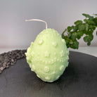 Unsere Bunny Celebration Egg Kerze ist in verschiedenen Düften erhältlich. Der Geruch ist angenehm, beruhigend und entspannend. Perfekt für gemütliche Abende und Ostertage. In hellgrün.