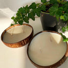 Die Coconut Dream ist perfekt als Gastgeschenk geeignet. Auch ist sie als Geburtstagsgeschenk oder Geschenk für besondere Anlässe geeignet. Sie ist handgemacht aus hochwertigem Sojawachs.