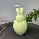 Die Easter Jubilee Bunny Duftkerze ist in verschiedenen Düften erhältlich. Die Düfte haben einen beruhigenden und angenehmen Geruch. Zudem entspannen sie, perfekt für gemütliche Tage. In hellgrün.