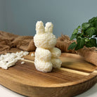 Zusehen ist die nachhaltige und vegane Bio-Sojawachskerze floral bunny elegance. Sie ist in verschiedenen Düften erhältlich und perfekt zur Entspannung. 