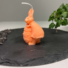 Unsere Fluffy Bunny Nest Egg Kerze. Ihr Hasen und Osterei Design machen sie zur perfekten Osterkerze. Sie ist handgefertigt aus hochwertigem Sojawachs. In orange.
