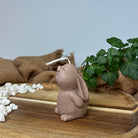 Mystic Meadow Bunny Light Kerze mit verschieden Düften. Der Geruch entspannt und ist gesund. In Braun.
