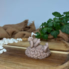 Dargestellt ist hier die Sweetheart Shepherd's Glow Kerze. Sie ist perfekt als Geschenk für Ostern, Weihnachen oder Geburtstage geeignet. In der Farbe Braun.